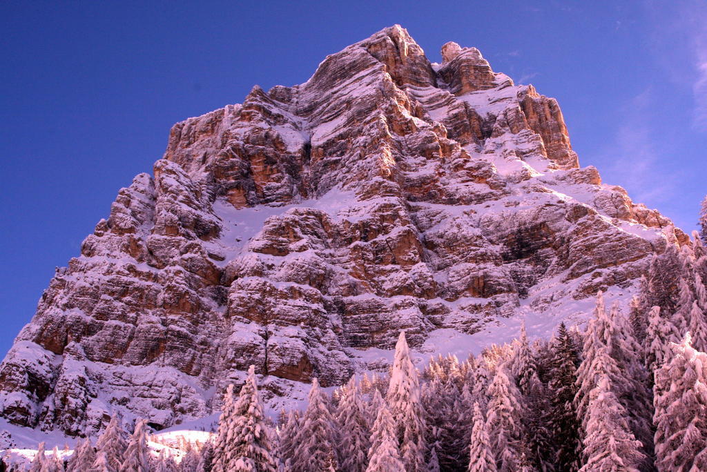 Rifugio Passo Staulanza Hotell Zoldo Alto Exteriör bild