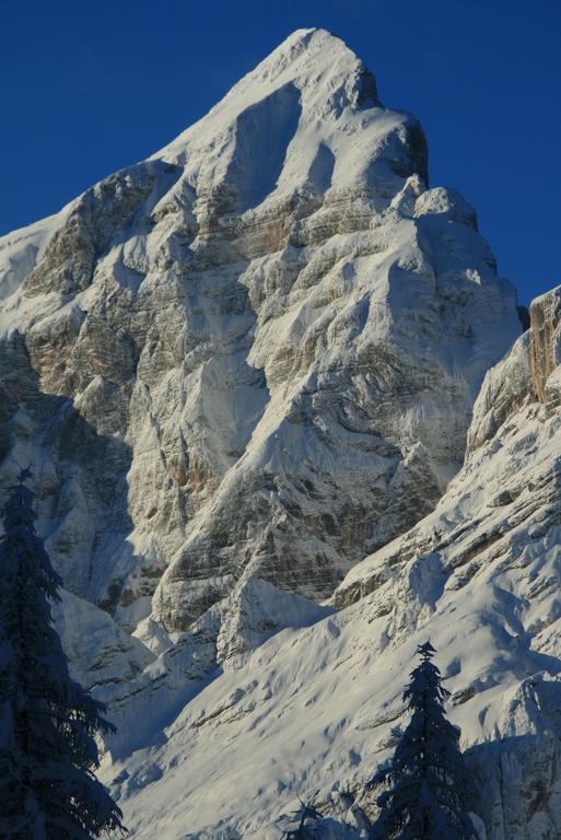 Rifugio Passo Staulanza Hotell Zoldo Alto Exteriör bild